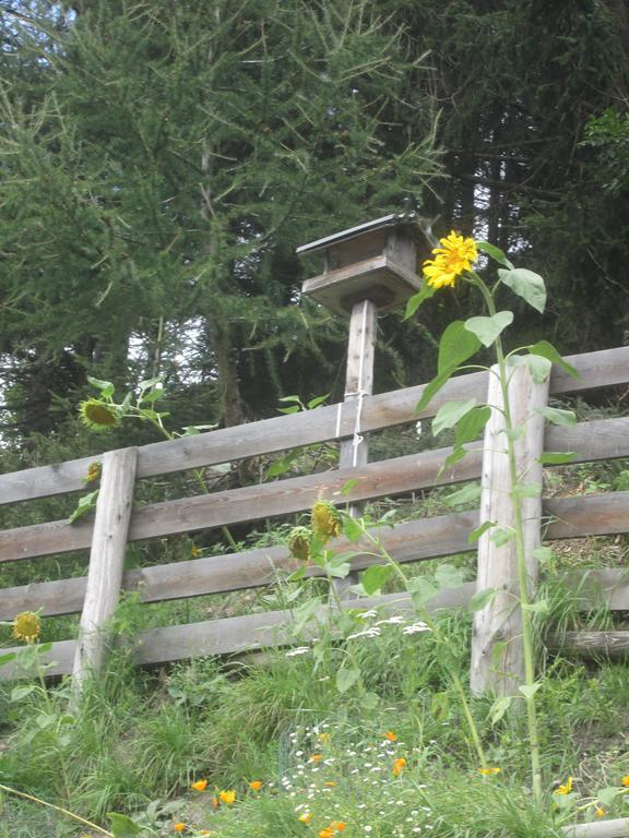 Ferienhaus Fichtenheim Prägraten 외부 사진